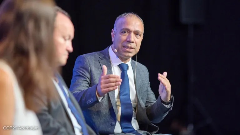 COP 29 presidency ‘committed’ to agree on climate finance goal, CEO says