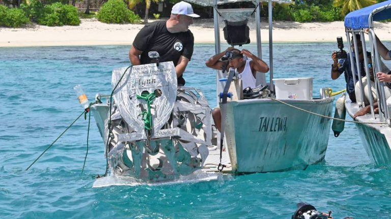 Tourism Fiji launched its second Counting Coral Sculptural Coral Gene Bank at Vomo Island.