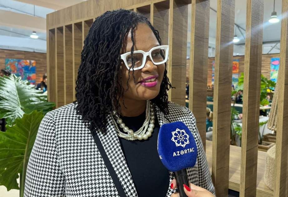 COP29 is organized at high level, says Director of Projects at Island Innovation