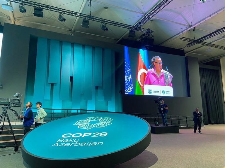 'Finance Day' at COP29 galvanises debate about numbers, sees first activists' protests