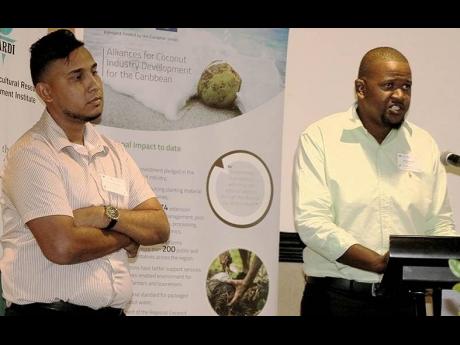 Guyana farmers share lessons on improving coconut industry