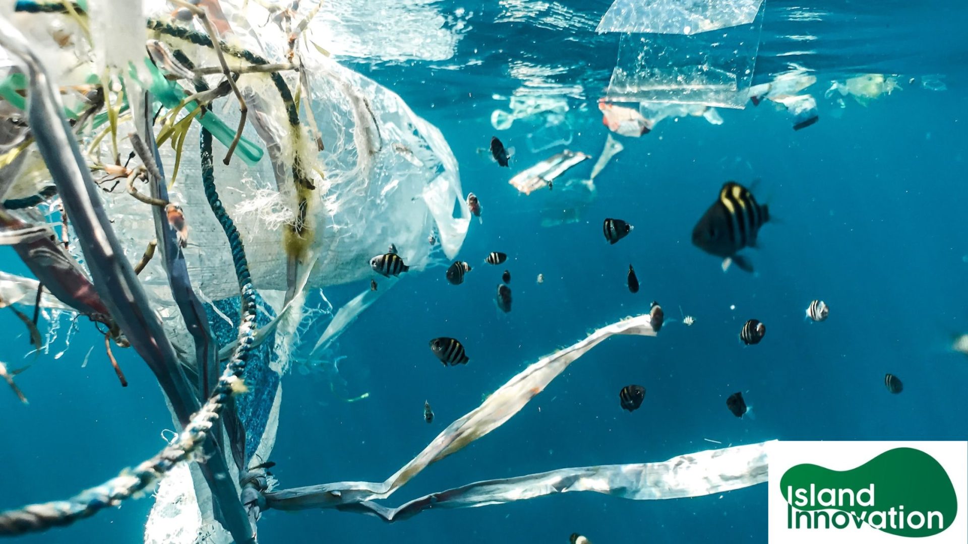 From cleaner oceans to thriving communities: the economic impacts of plastic pollution