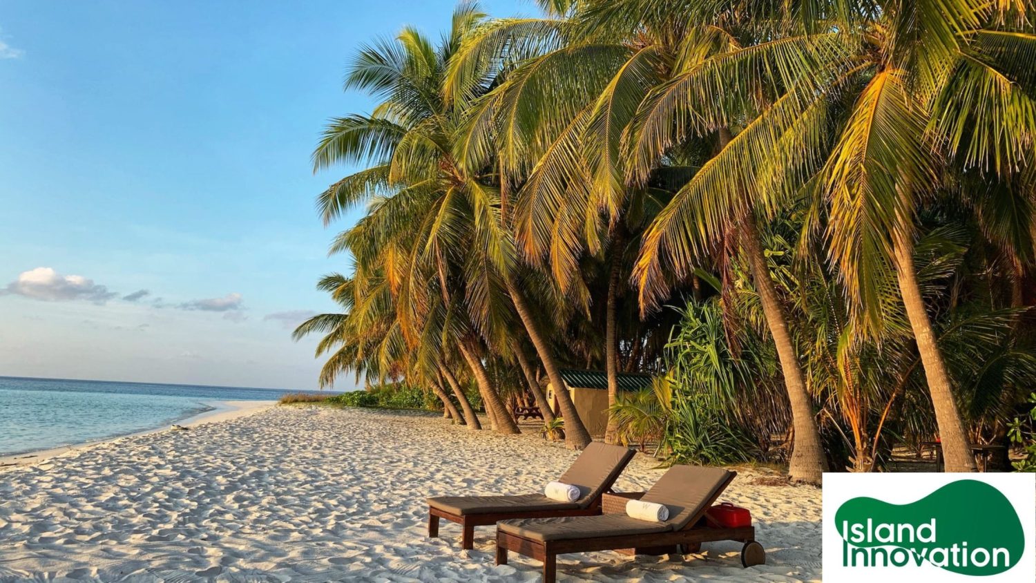 Sampling the fruits of success and innovation in the Maldives