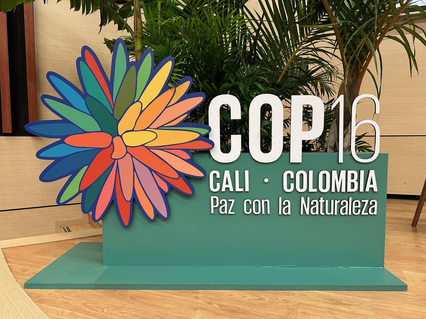 Global biodiversity financiers strategize at COP16 to end ‘perverse subsidies’