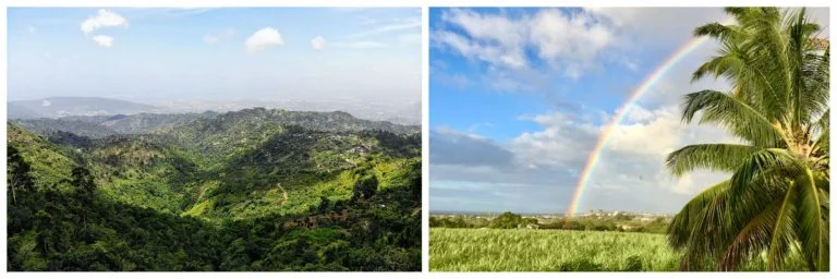 Jamaica and Barbados