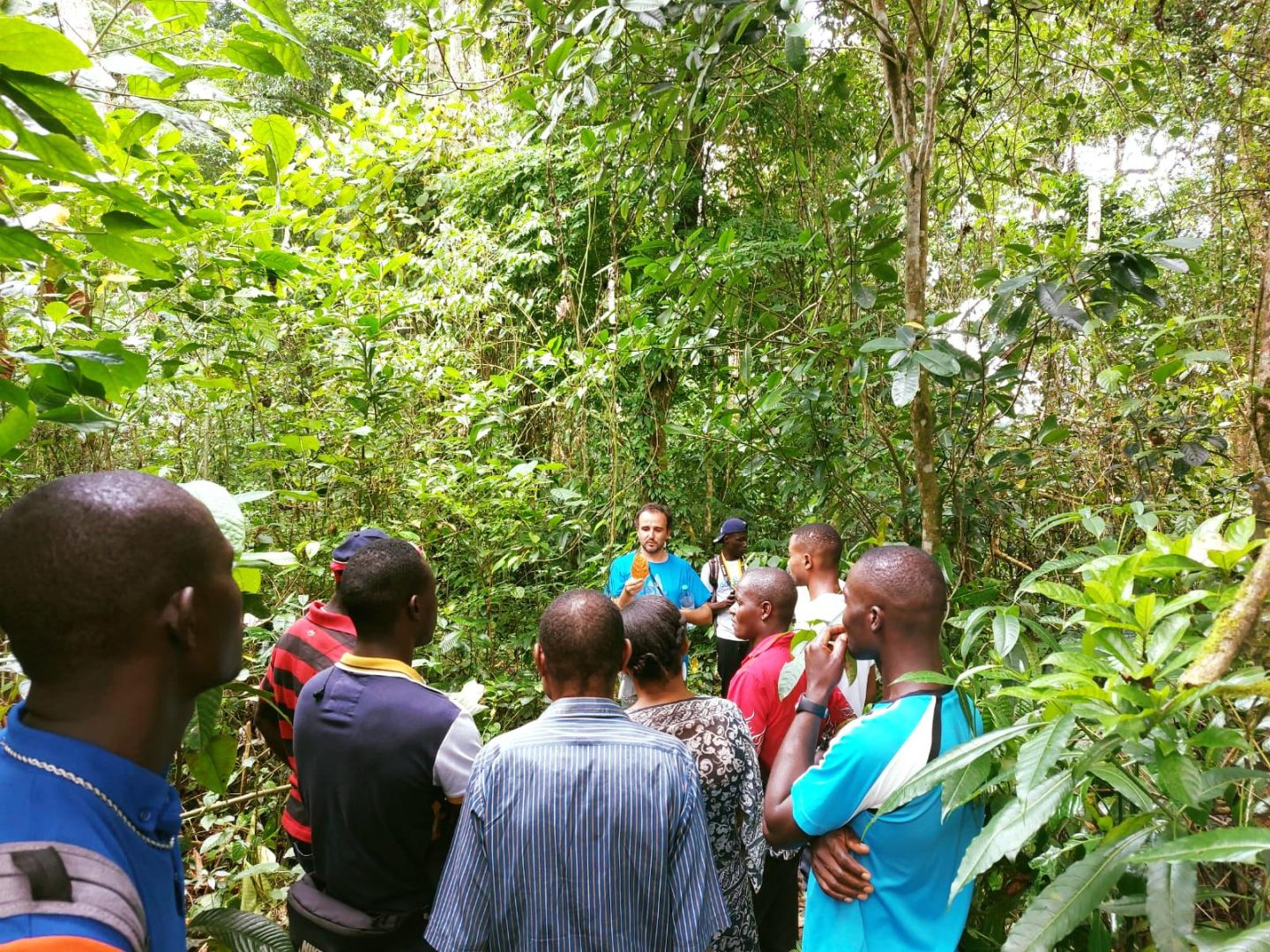 Striking a balance between hunting and conservation in São Tomé and Príncipe