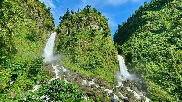 Work in Nature