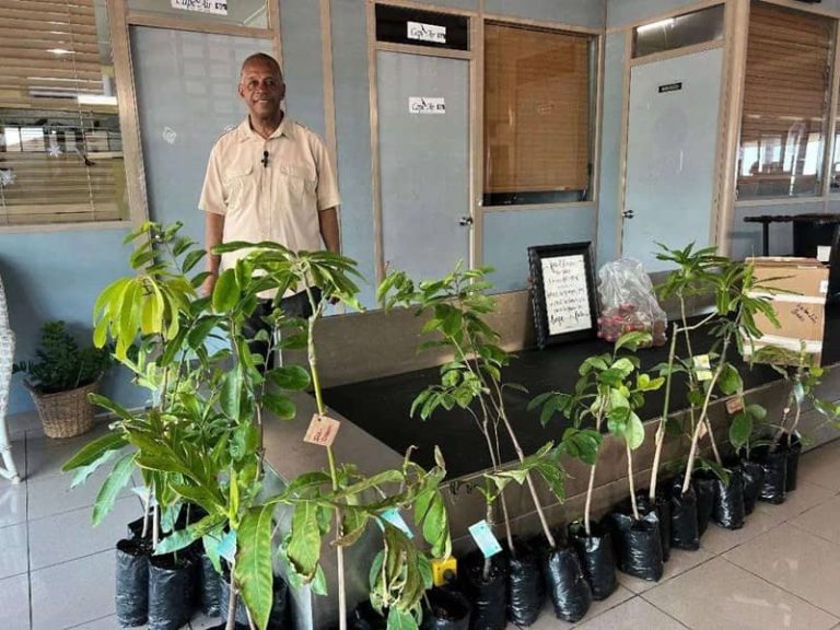 Anguilla Plant A Tree Day Initiative