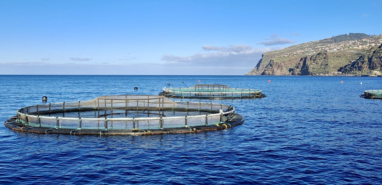 Aquaculture in the Atlantic