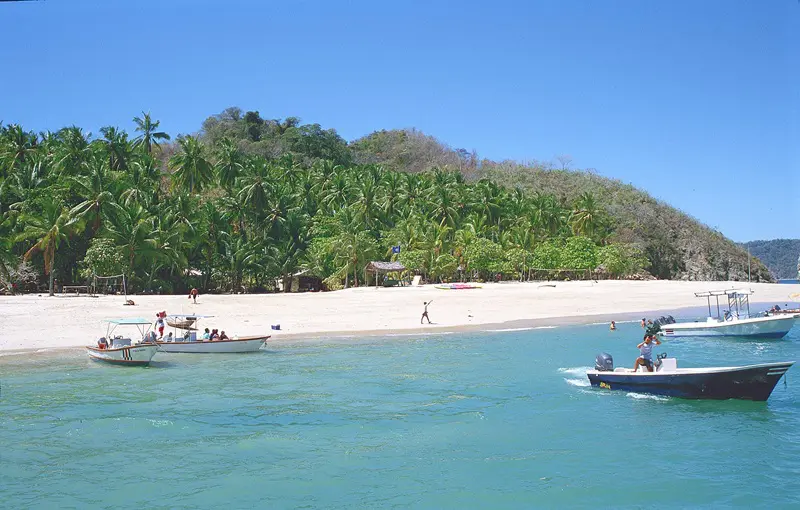 Innovative Coral Restoration Effort on Tortuga Island in Costa Rica