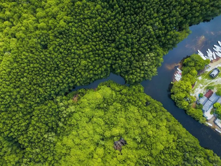 Island Initiatives