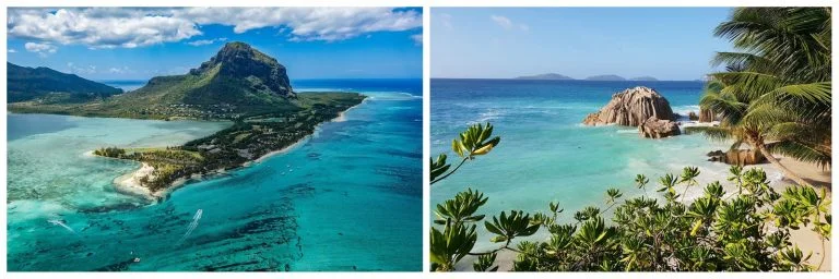 COVID-19 Island Insights Series