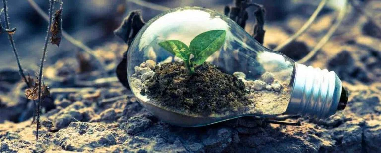 Renewable Energy
