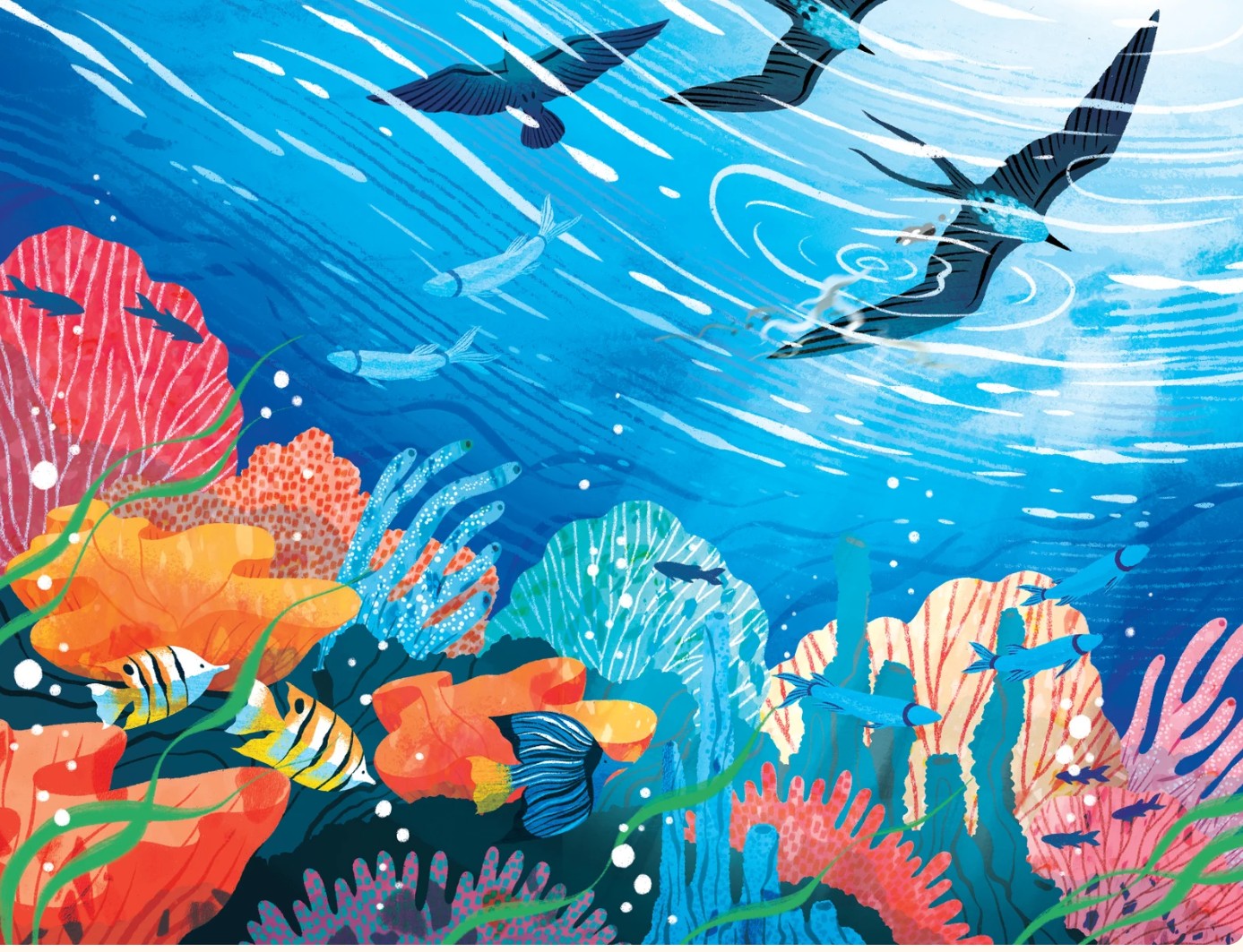 The Remarkable Healing Power of Seabird Poop for Climate-Stressed Coral Reefs