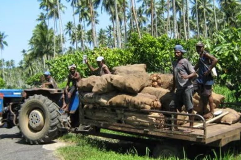 How the humble coconut is starting to fuel parts of Papua New Guinea