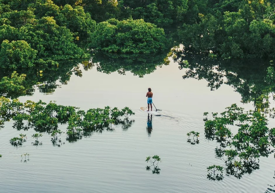 Community and Camaraderie on the Filipino Surf Island of Siargao