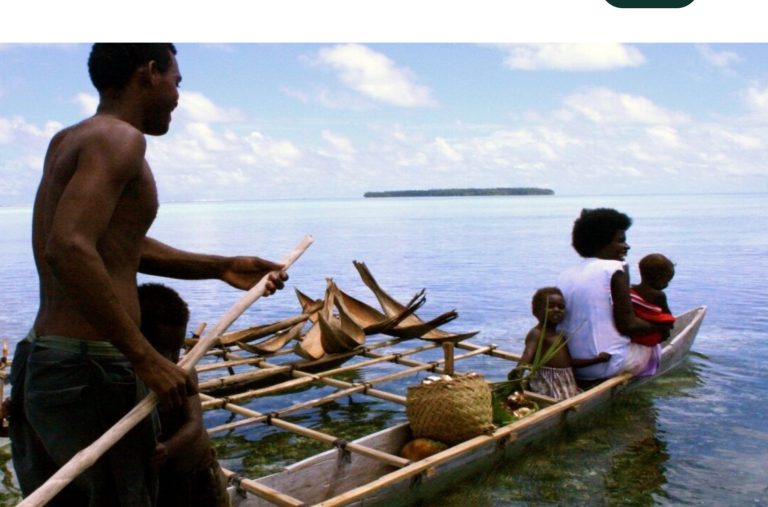 In a Noah’s Ark move, PNG migrants bring thousands of trees to safer ground