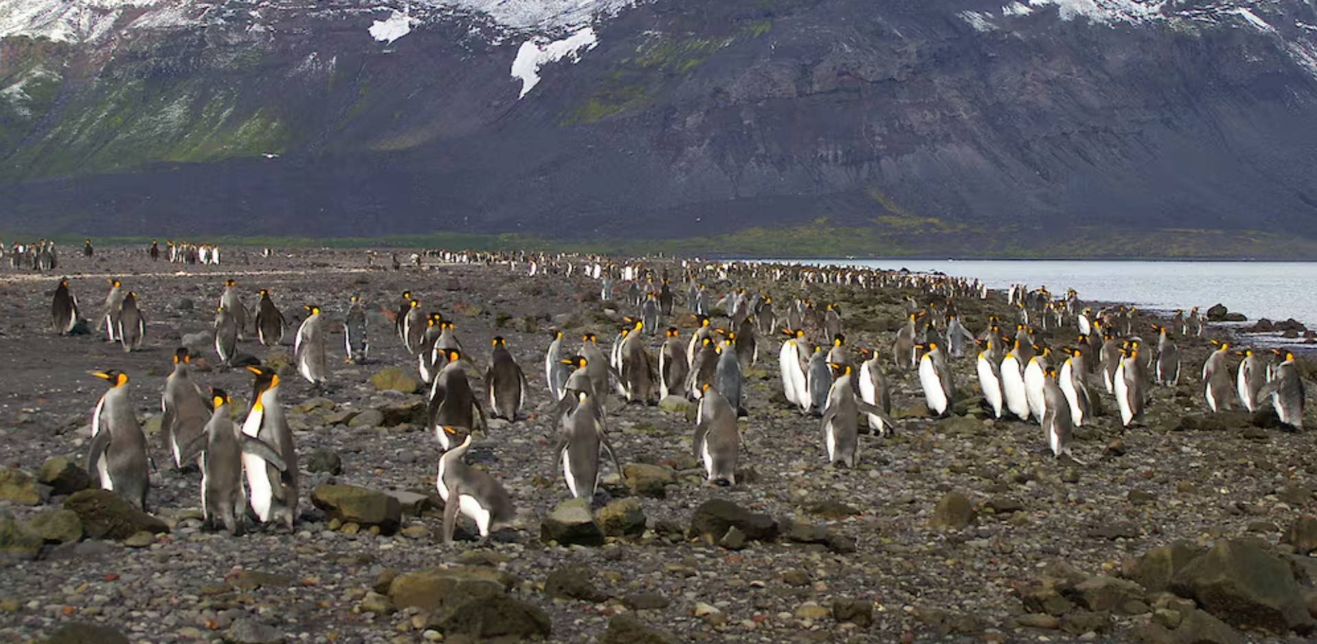 Heard Island and McDonald Islands, the uninhabited territory where Trump has imposed tariffs