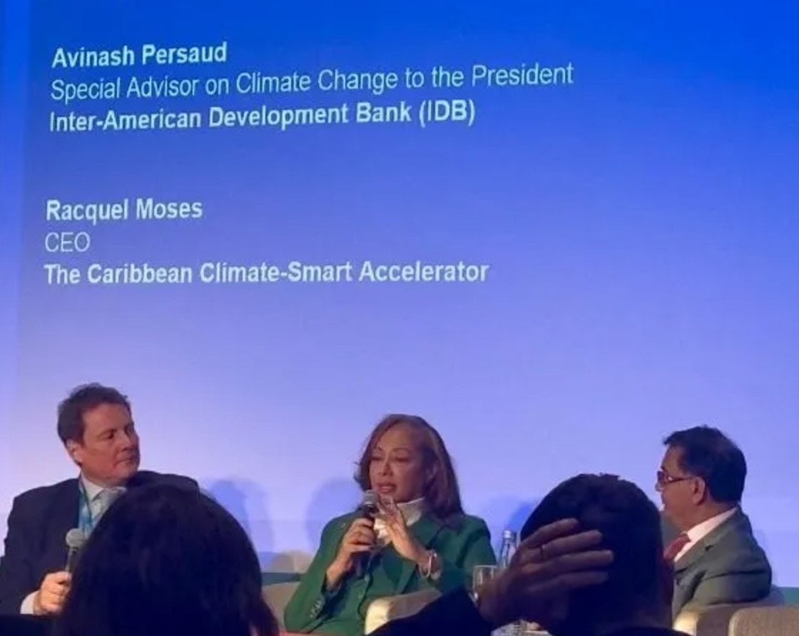 Forgotten climate voices beg to be heard at COP29