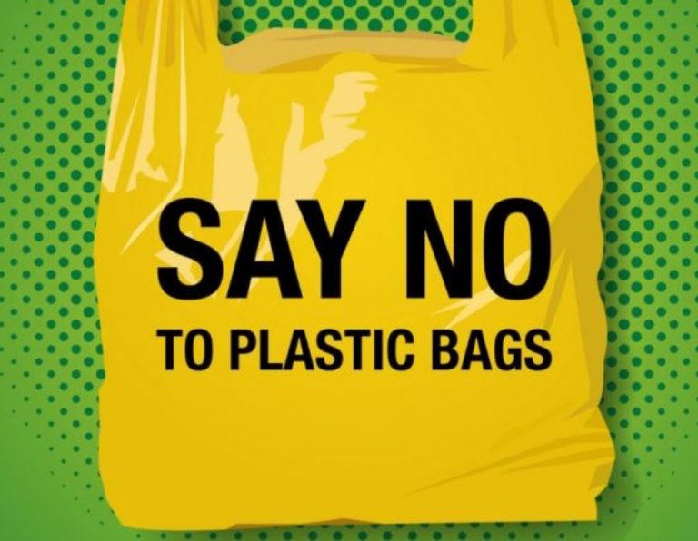St. Kitts and Nevis Steps Closer to Single-Use Plastic Ban with Multi-Agency Support
