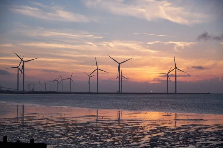 sustainability