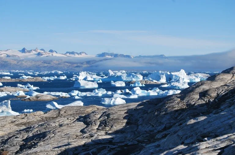 Arctic
