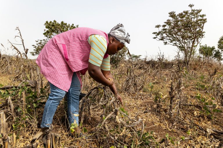 Taking the chance out of agriculture in Cabo Verde