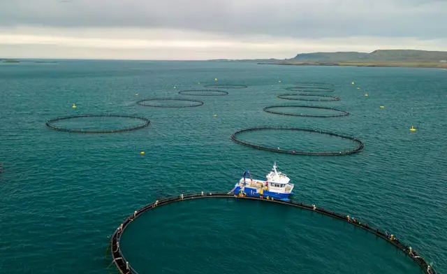 Storms on the horizon: Can aquaculture insurance work on Prince Edward Island?