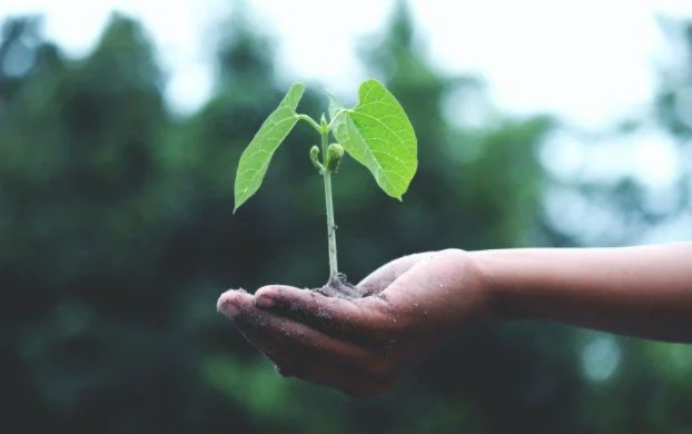 Sustainability