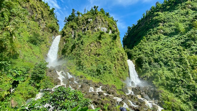 Forests For Us: Dominica Harnesses Nature for Climate Resilience and Economic Development