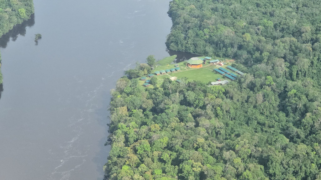 Guyana's Green Gold: The Iwokrama Forest’s success showcased at COP29
