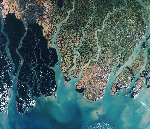 India and Bangladesh