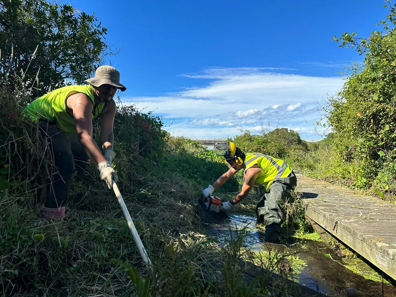 By land, sea and sky, Māori are using Indigenous knowledge to combat climate change
