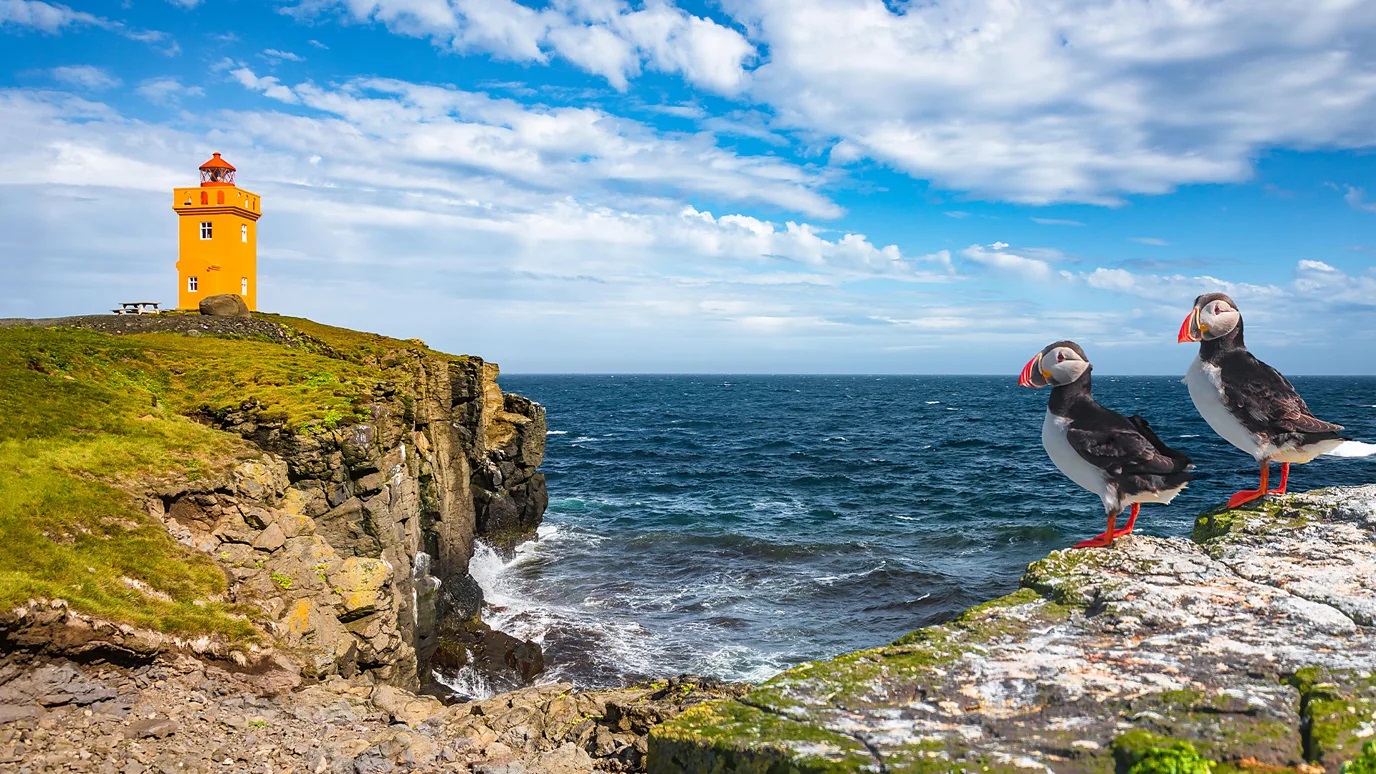 Grímsey: The Arctic island with 20 people and one million birds 3 days