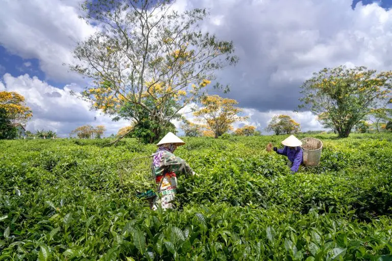 food security