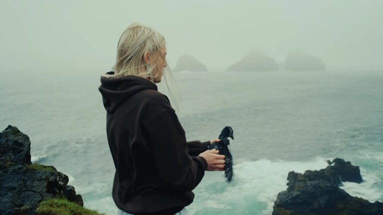 The unique fellowship between teens and young puffins on a remote Icelandic island