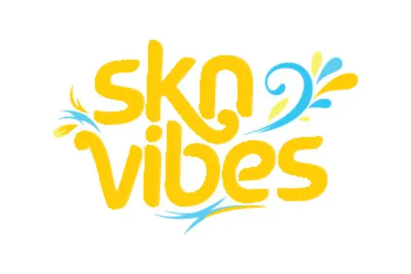 skn vibes press