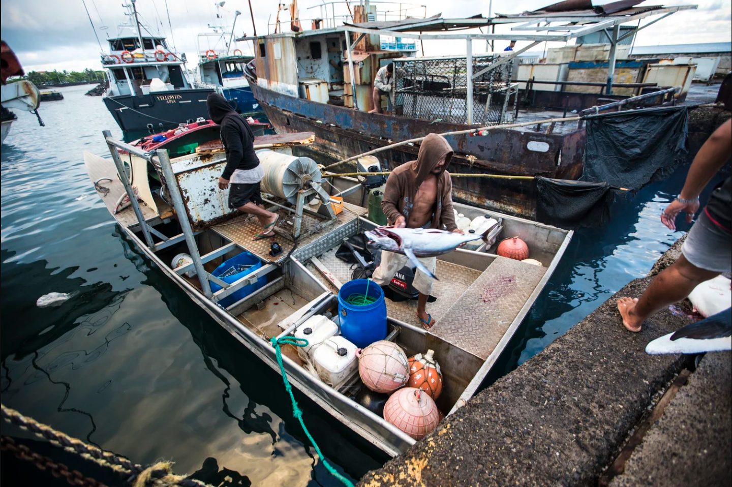 The new, pilot micro-climate change product will help Samoa's fishers; one of the most disproportionately affected by climate shocks.