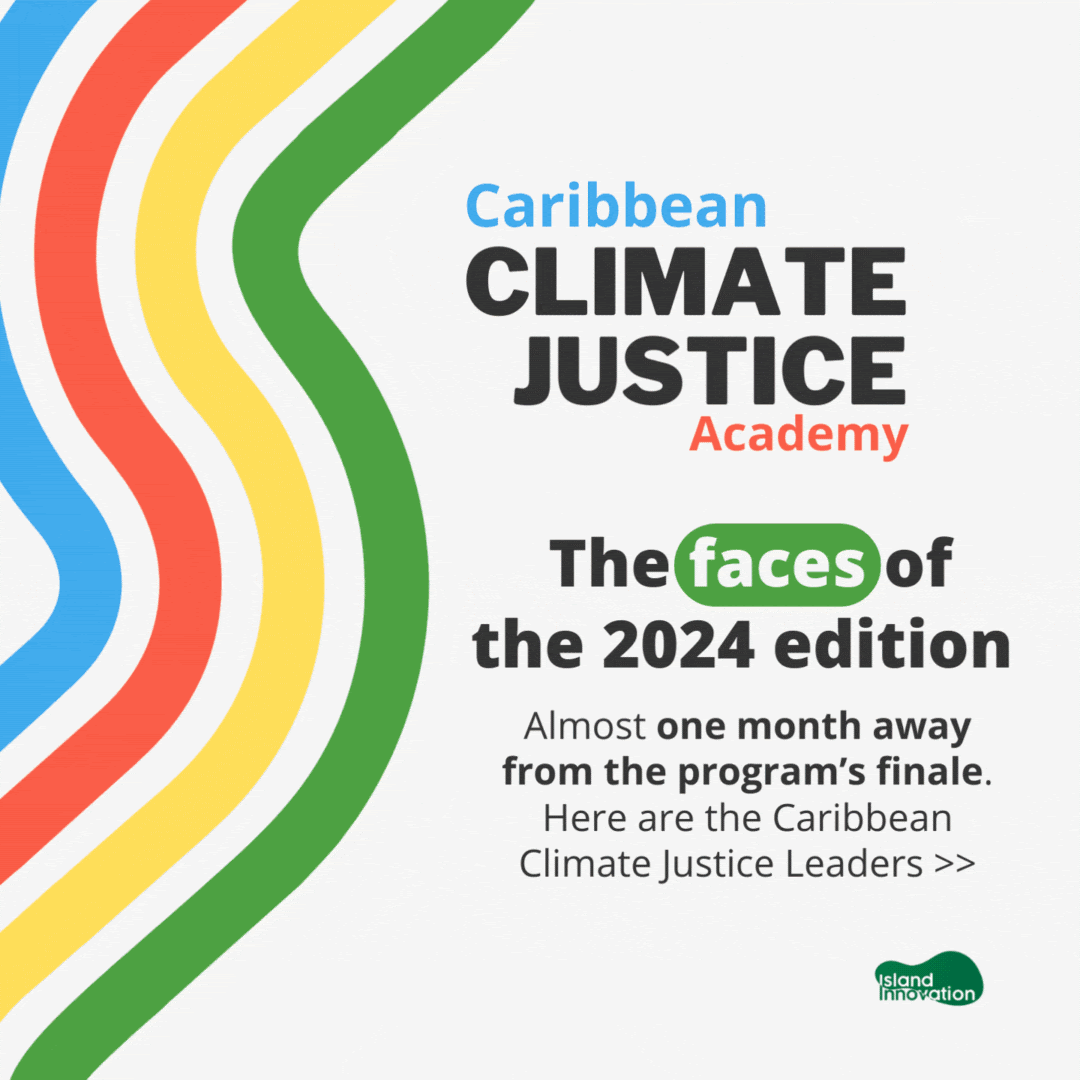 ccjla 2024