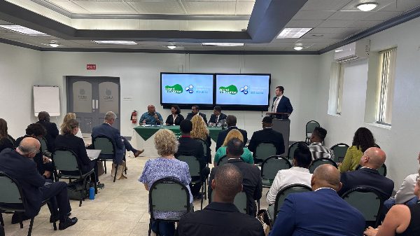 sub-national voices missing at sids4