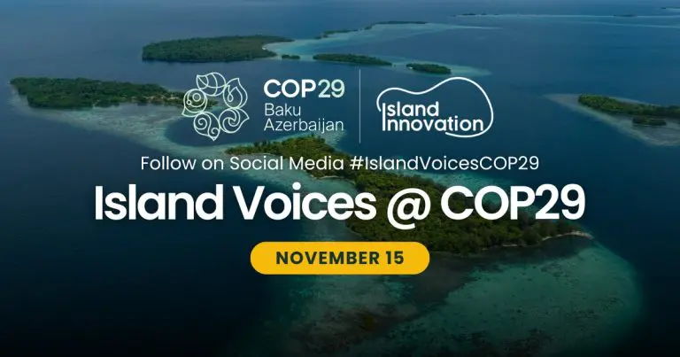 Global pathways to green cities and coastal areas, and important actions at COP29
