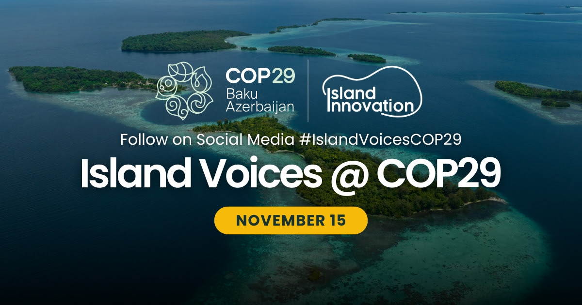 Global pathways to green cities and coastal areas, and important actions at COP29
