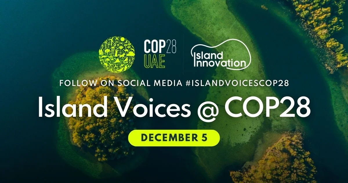 COP28: Dates, meaning, daily schedule, venue, everything you need to know -  Arabian Business