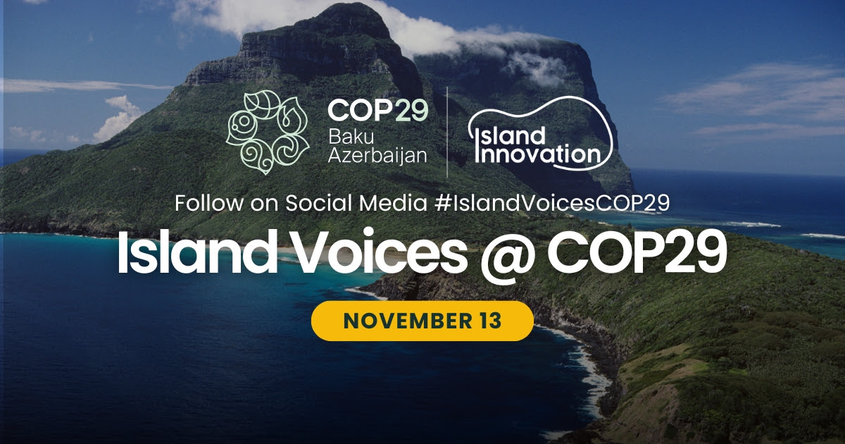 cop29 daily bulletin: Youth-led solutions at COP29