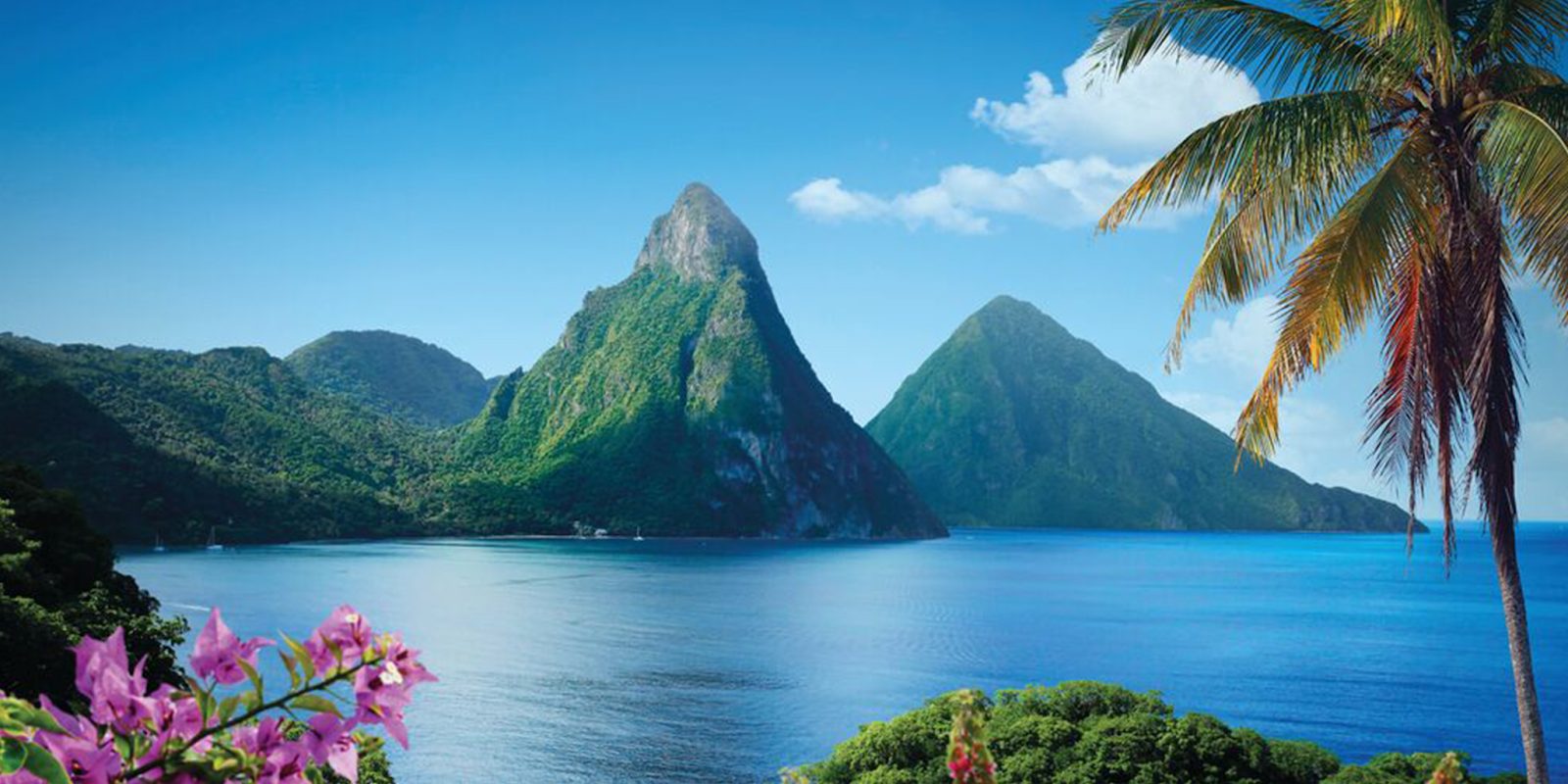 RedLAC Congress 2024: A Premier Gathering for Conservation and Sustainability in Saint Lucia