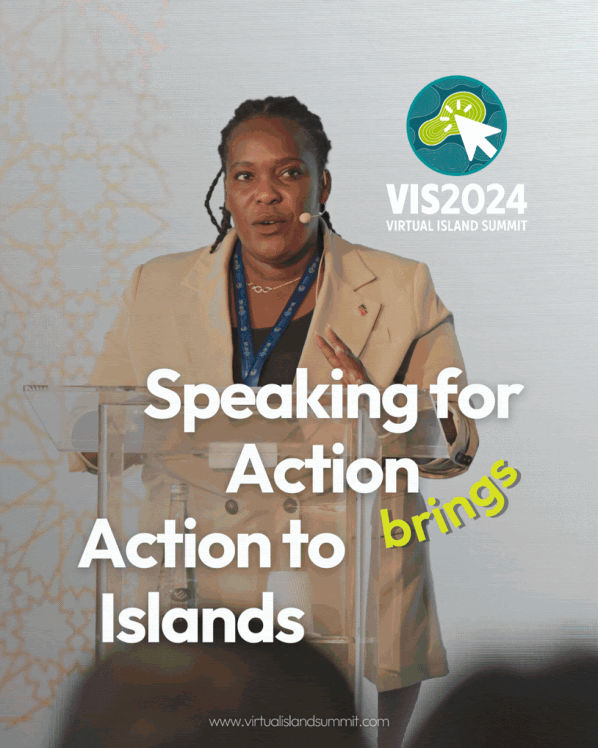 VIS2024