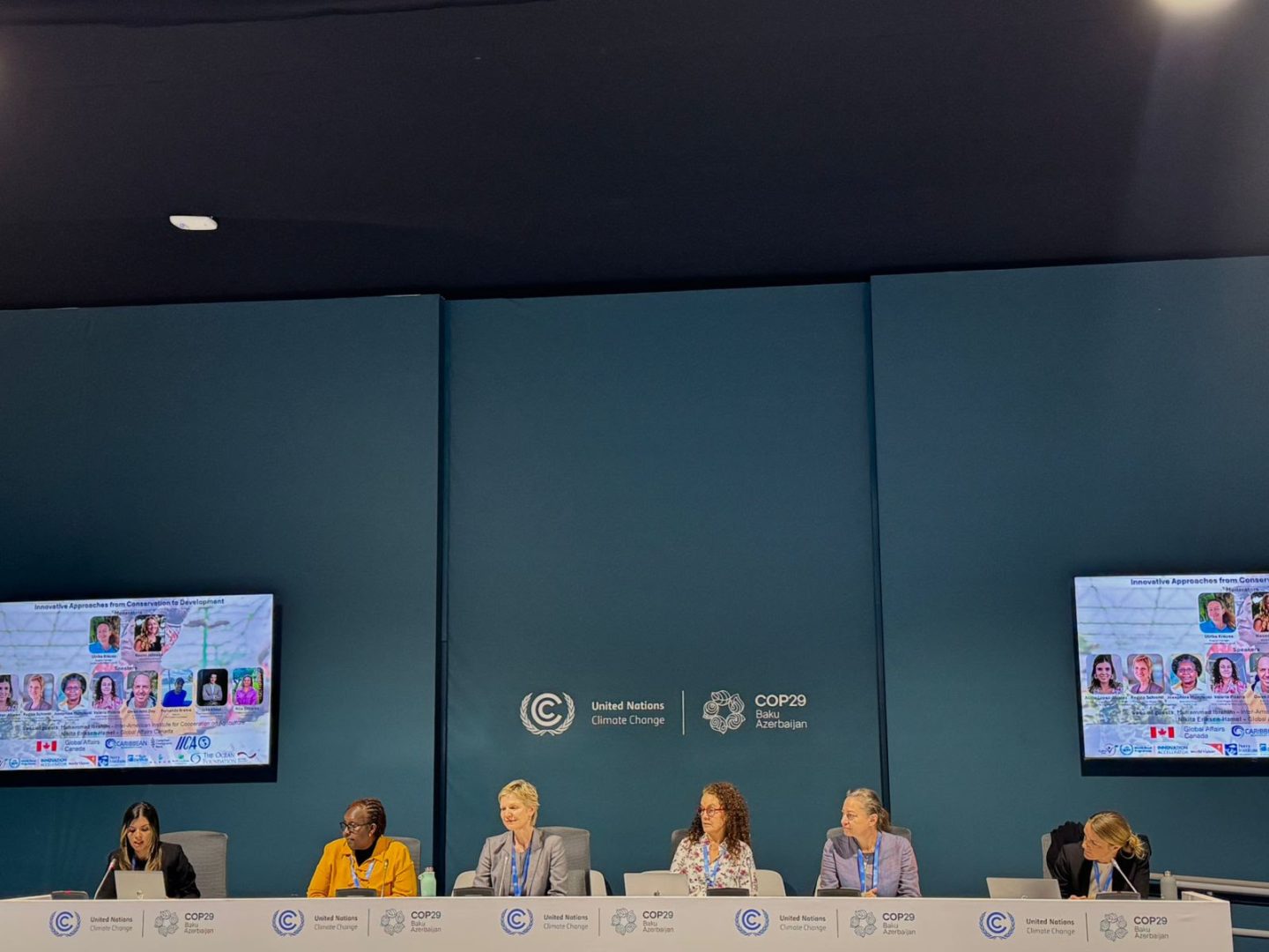 Attendees' view of representatives from various groups during COP29 in Baku, Azerbaijan"