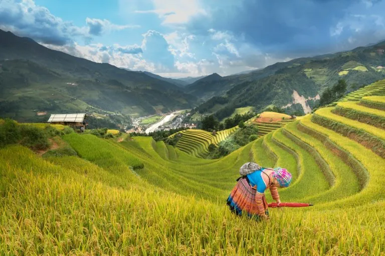 food security